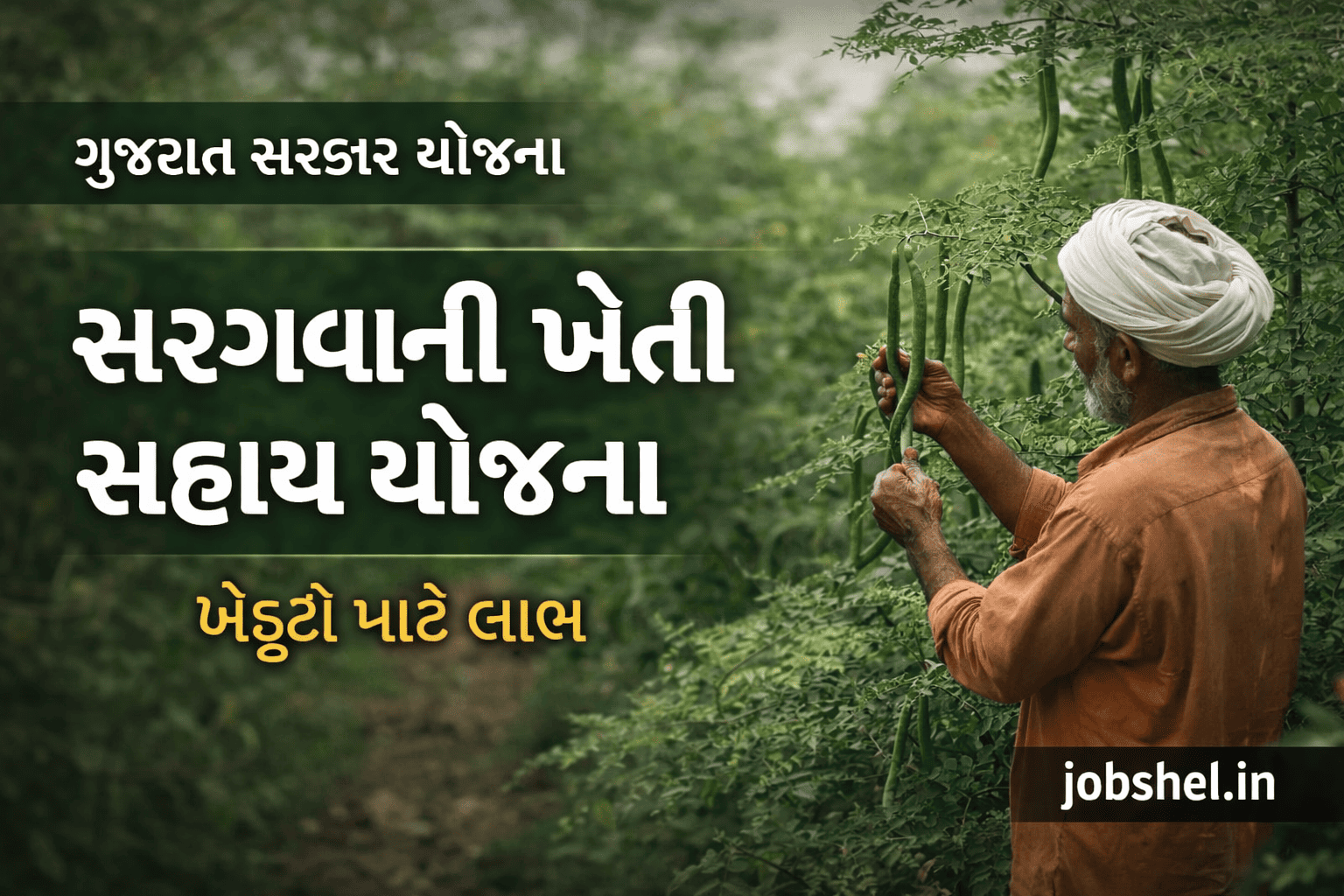 Saragva Farming Subsidy Scheme 2026